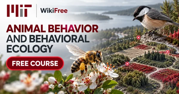 Free MIT Course: Animal Behavior and Behavioral Ecology. Original topic-specific WikiFree artwork in MIT red, silver, black and white. FREE COURSE.