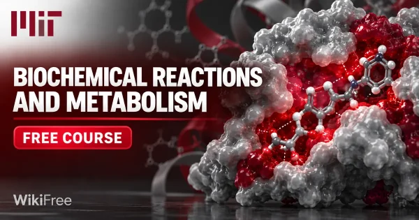 Free MIT Course: Biochemical Reactions and Metabolism. Original topic-specific WikiFree artwork in MIT red, silver, black and white. FREE COURSE.