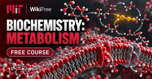 Free MIT Course: Biochemistry: Metabolism and Cell Membranes. Original topic-specific WikiFree artwork in MIT red, silver, black and white. FREE COURSE.