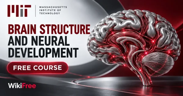 Free MIT Course: Brain Structure and Neural Development. Original topic-specific WikiFree artwork in MIT red, silver, black and white. FREE COURSE.