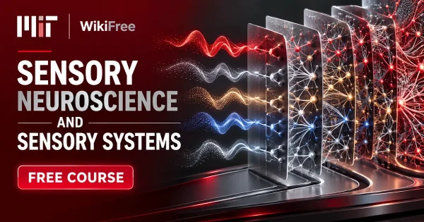Free MIT Course: Sensory Neuroscience and Sensory Systems. Original topic-specific WikiFree artwork in MIT red, silver, black and white. FREE COURSE.